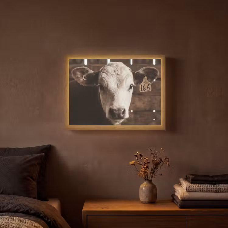 Lightbox - Wandlamp - Kalf - Oormerk - Houten stal — 3