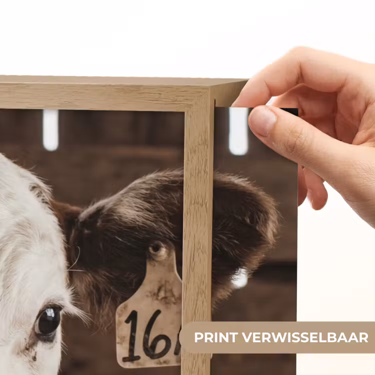 Lightbox - Wandlamp - Kalf - Oormerk - Houten stal — 5