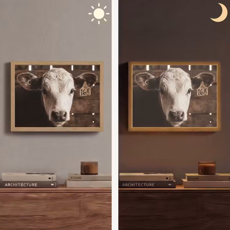 Lightbox - Wandlamp - Kalf - Oormerk - Houten stal — 6