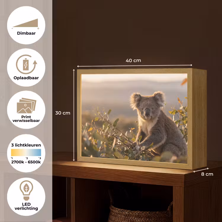 Lightbox - Wandlamp - Koala - Bladeren - Ochtendlicht — 10