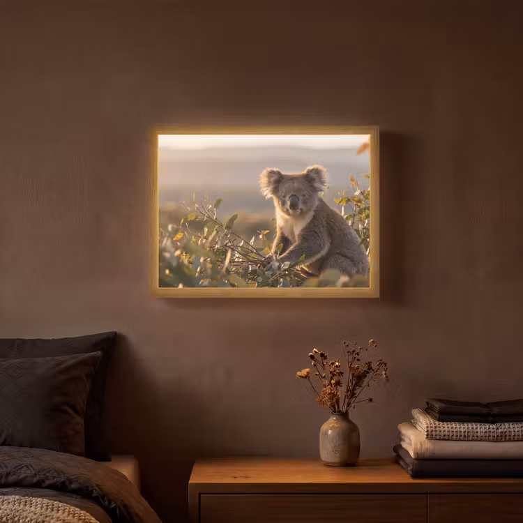Lightbox - Wandlamp - Koala - Bladeren - Ochtendlicht — 3