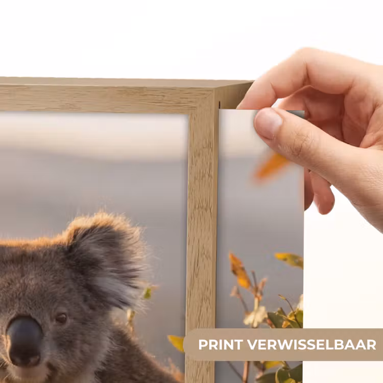 Lightbox - Wandlamp - Koala - Bladeren - Ochtendlicht — 5