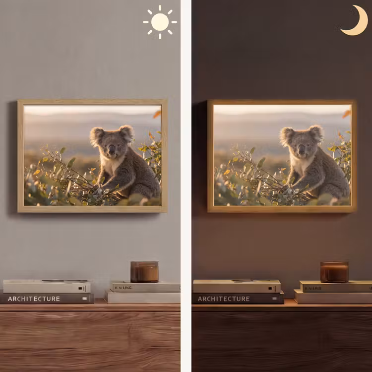 Lightbox - Wandlamp - Koala - Bladeren - Ochtendlicht — 6