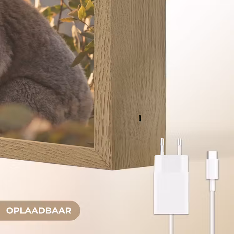 Lightbox - Wandlamp - Koala - Bladeren - Ochtendlicht — 7