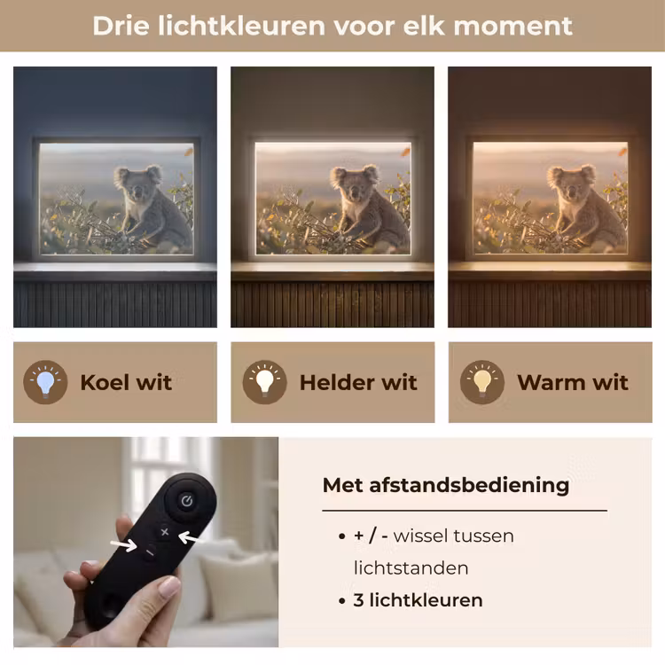 Lightbox - Wandlamp - Koala - Bladeren - Ochtendlicht — 8