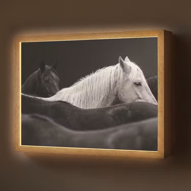 Lightbox - Wandlamp - Paarden - Zwart - Wit - Kudde — 1