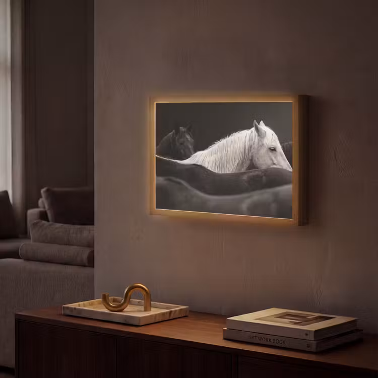 Lightbox - Wandlamp - Paarden - Zwart - Wit - Kudde — 2