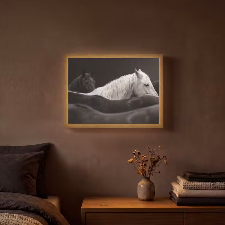 Lightbox - Wandlamp - Paarden - Zwart - Wit - Kudde — 3