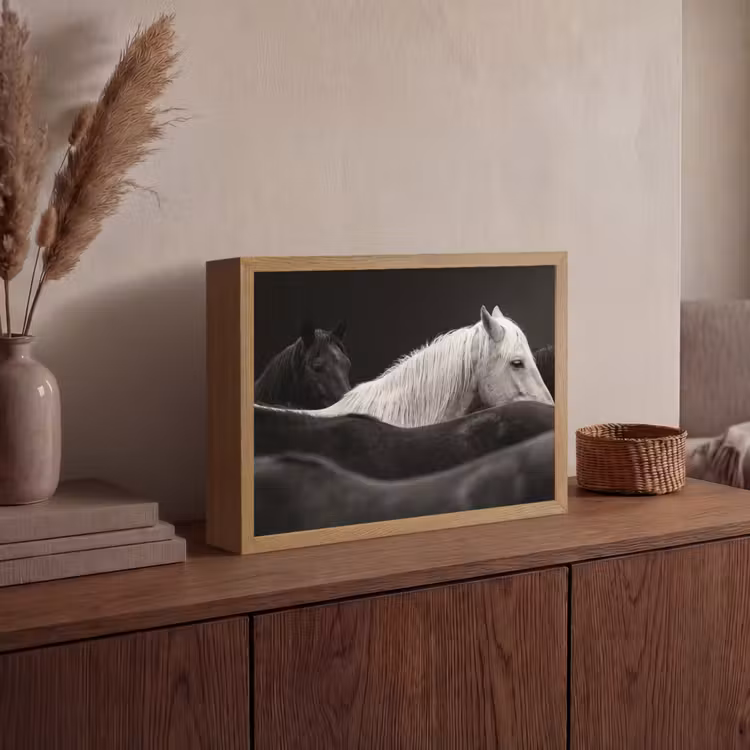 Lightbox - Wandlamp - Paarden - Zwart - Wit - Kudde — 4