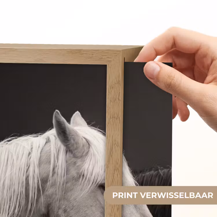 Lightbox - Wandlamp - Paarden - Zwart - Wit - Kudde — 5