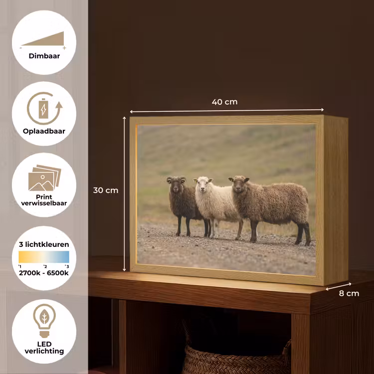 Lightbox - Wandlamp - Schapen - Bruin - Wit - Grindpad — 10