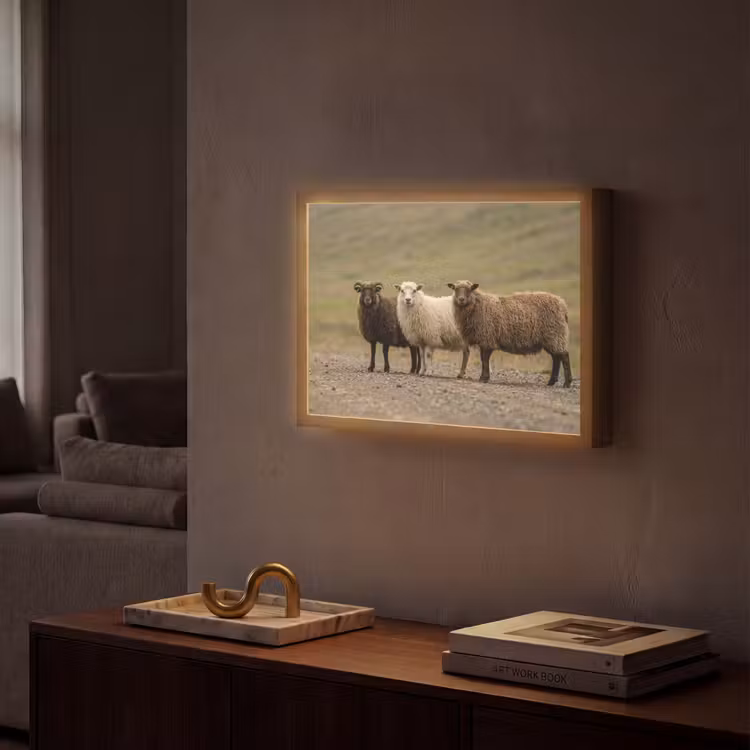 Lightbox - Wandlamp - Schapen - Bruin - Wit - Grindpad — 2
