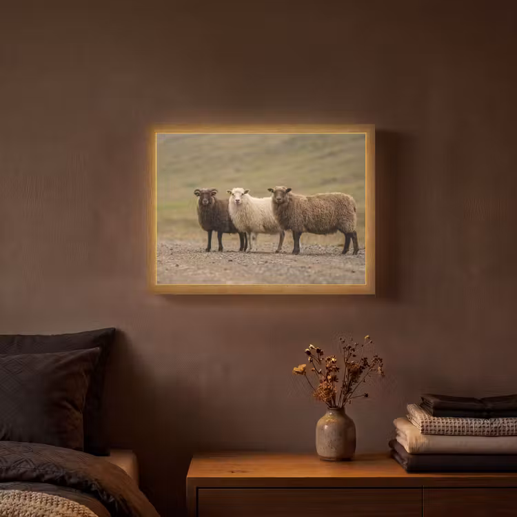 Lightbox - Wandlamp - Schapen - Bruin - Wit - Grindpad — 3