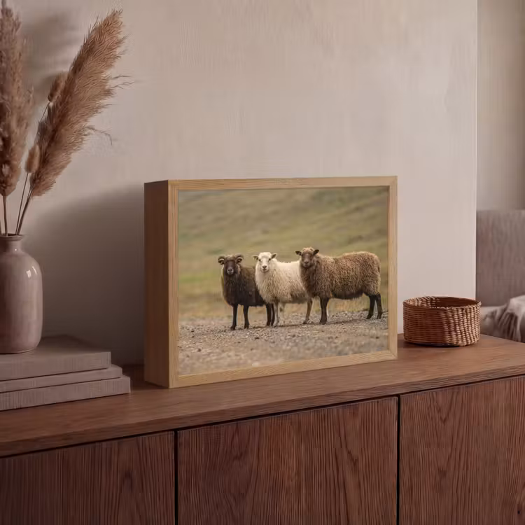 Lightbox - Wandlamp - Schapen - Bruin - Wit - Grindpad — 4