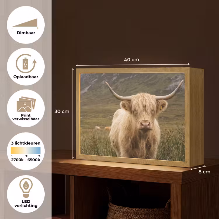 Lightbox - Wandlamp - Schotse hooglander - Bergen - Grasveld — 10