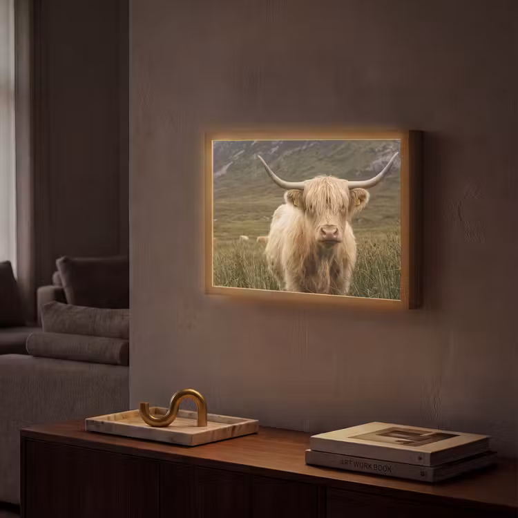 Lightbox - Wandlamp - Schotse hooglander - Bergen - Grasveld — 2