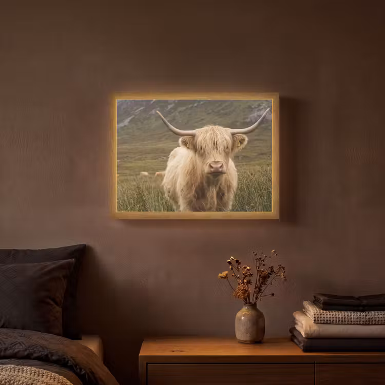 Lightbox - Wandlamp - Schotse hooglander - Bergen - Grasveld — 3