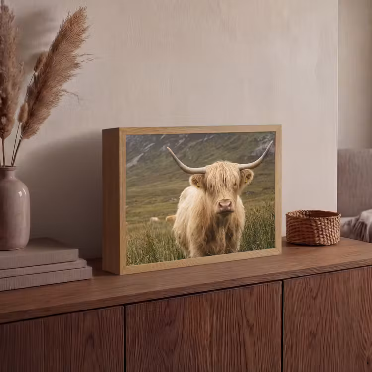 Lightbox - Wandlamp - Schotse hooglander - Bergen - Grasveld — 4