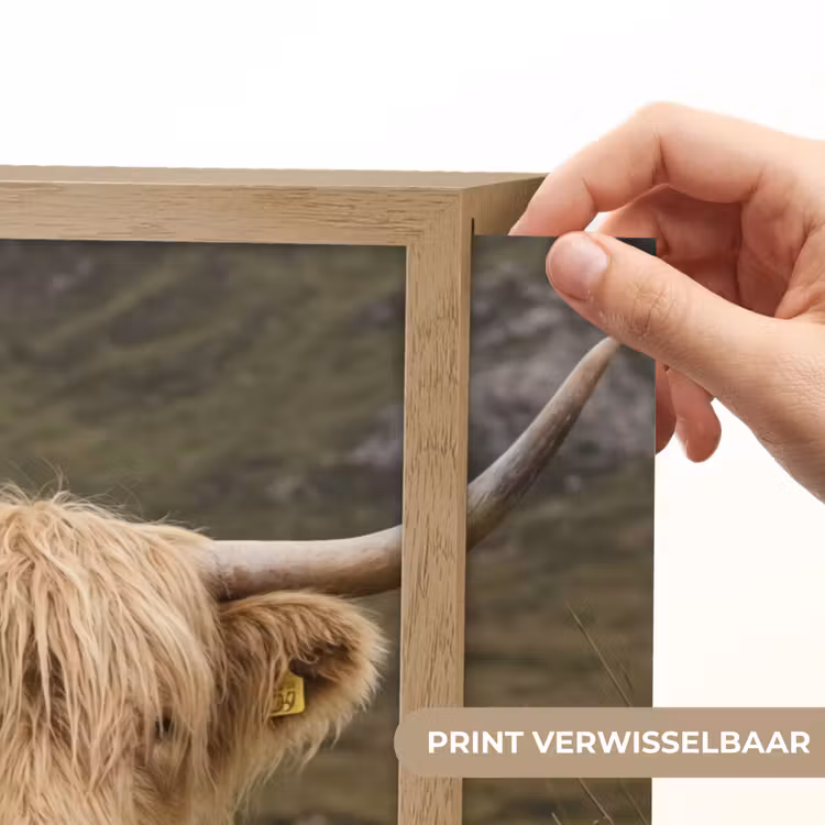 Lightbox - Wandlamp - Schotse hooglander - Bergen - Grasveld — 5