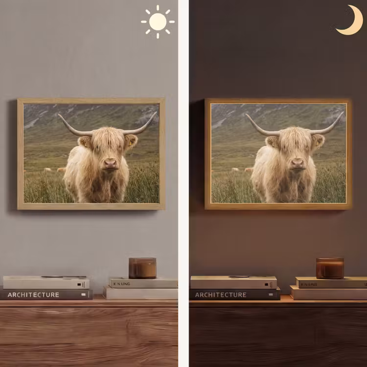 Lightbox - Wandlamp - Schotse hooglander - Bergen - Grasveld — 6
