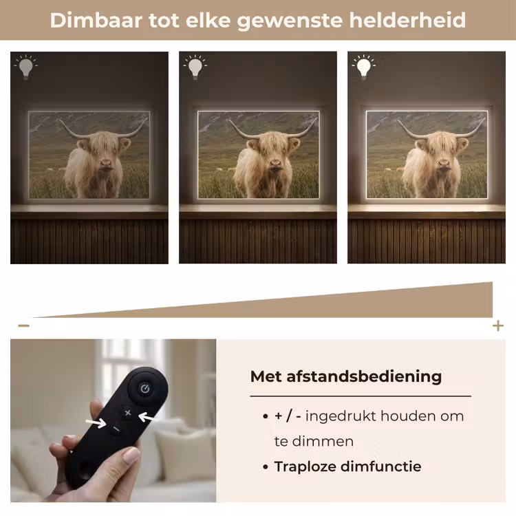 Lightbox - Wandlamp - Schotse hooglander - Bergen - Grasveld — 9