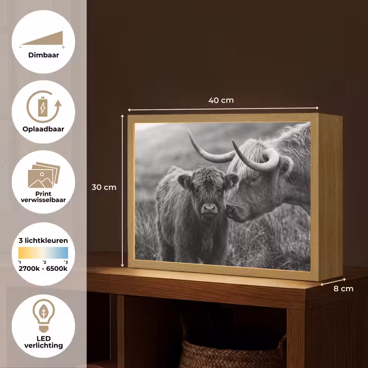 Lightbox - Wandlamp - Schotse hooglander - Kalf - Zwart - Wit — 10