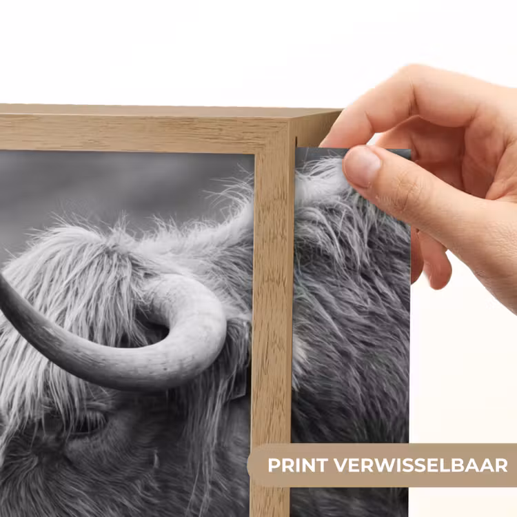Lightbox - Wandlamp - Schotse hooglander - Kalf - Zwart - Wit — 5