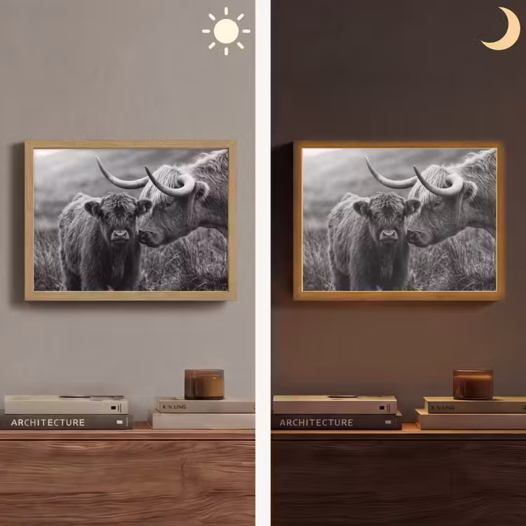 Lightbox - Wandlamp - Schotse hooglander - Kalf - Zwart - Wit — 6