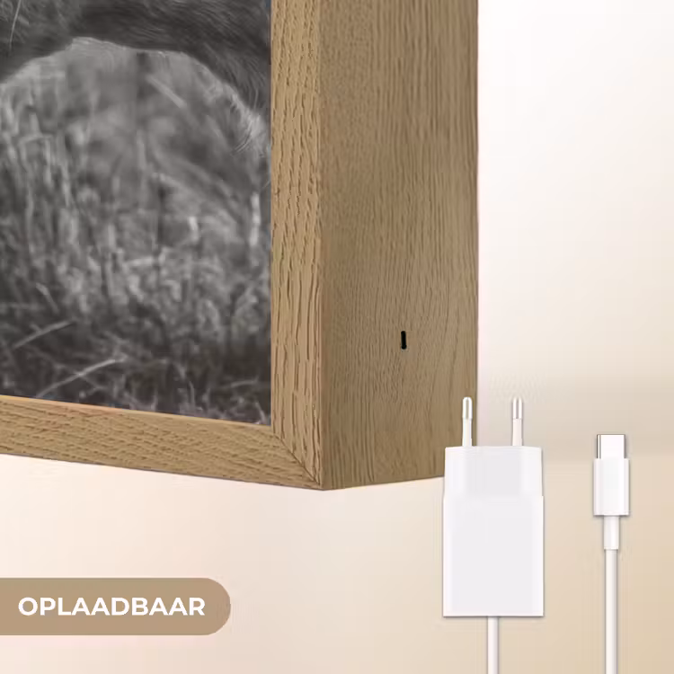 Lightbox - Wandlamp - Schotse hooglander - Kalf - Zwart - Wit — 7