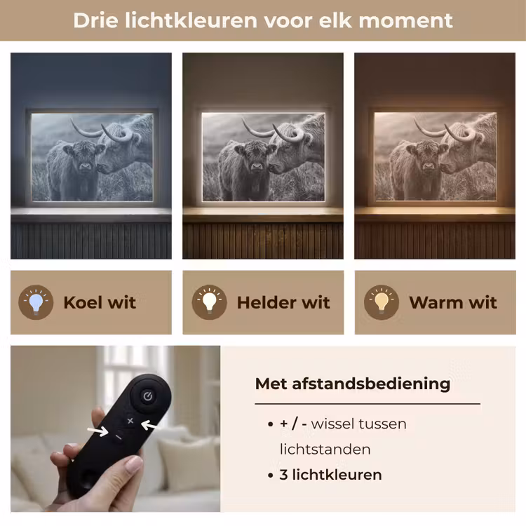 Lightbox - Wandlamp - Schotse hooglander - Kalf - Zwart - Wit — 8