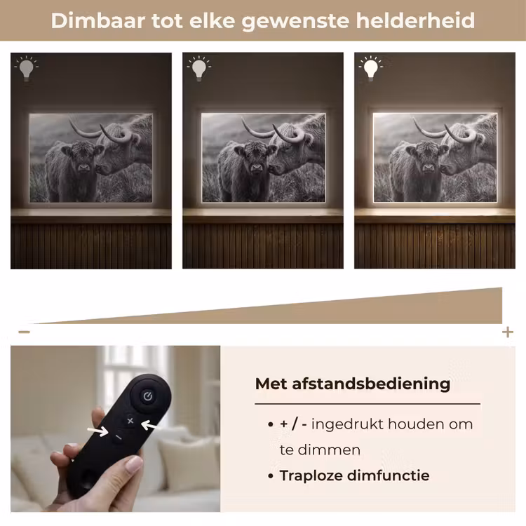 Lightbox - Wandlamp - Schotse hooglander - Kalf - Zwart - Wit — 9