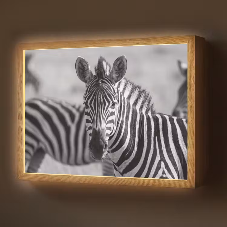 Lightbox - Wandlamp - Zebra's - Zwart - Wit — 1