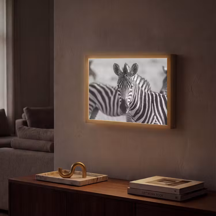 Lightbox - Wandlamp - Zebra's - Zwart - Wit — 2