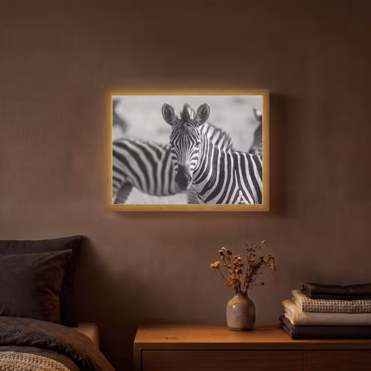 Lightbox - Wandlamp - Zebra's - Zwart - Wit — 3