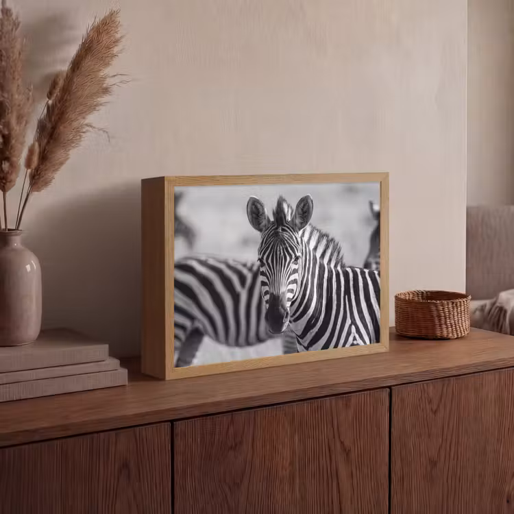 Lightbox - Wandlamp - Zebra's - Zwart - Wit — 4