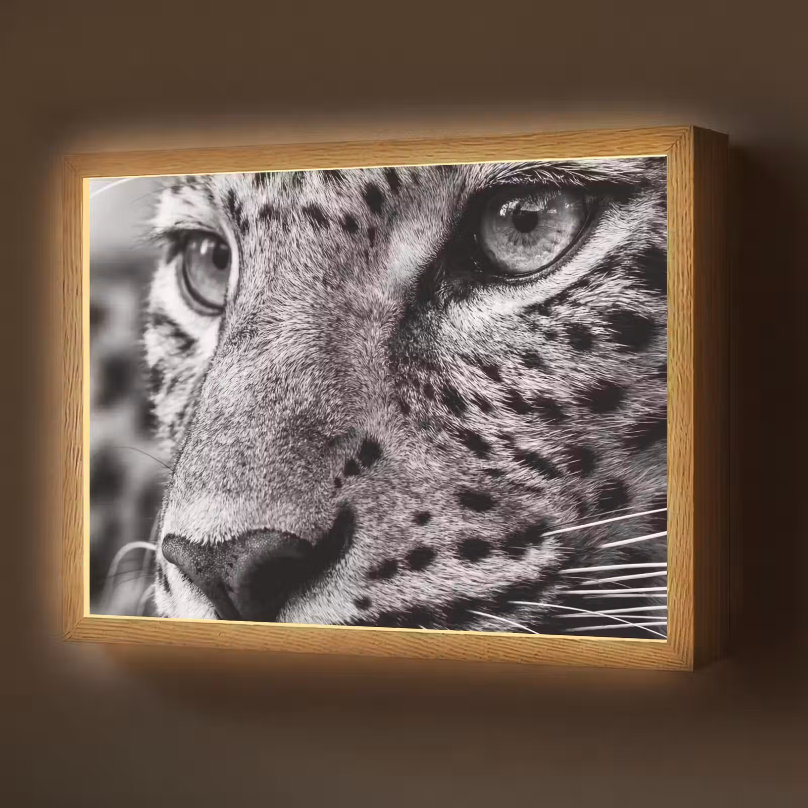 Lightbox - Wandlamp - Luipaard - Zwart - Wit - Oog — 1