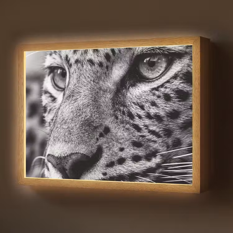 Lightbox - Wandlamp - Luipaard - Zwart - Wit - Oog — 1