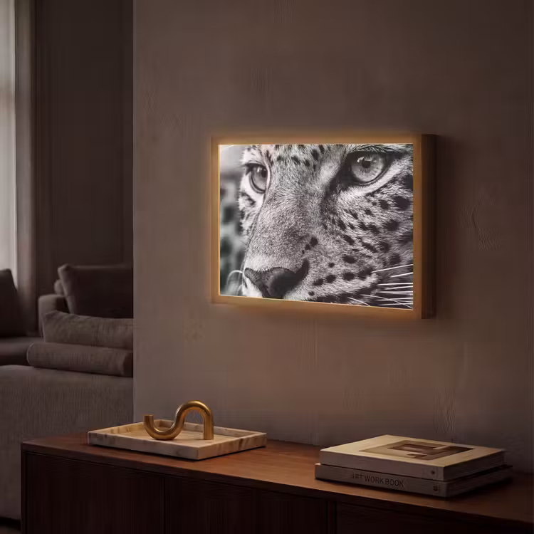Lightbox - Wandlamp - Luipaard - Zwart - Wit - Oog — 2