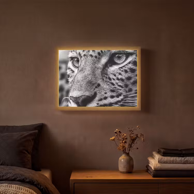 Lightbox - Wandlamp - Luipaard - Zwart - Wit - Oog — 3