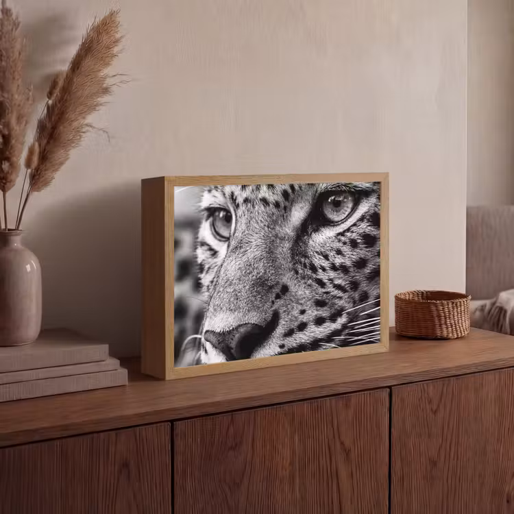 Lightbox - Wandlamp - Luipaard - Zwart - Wit - Oog — 4