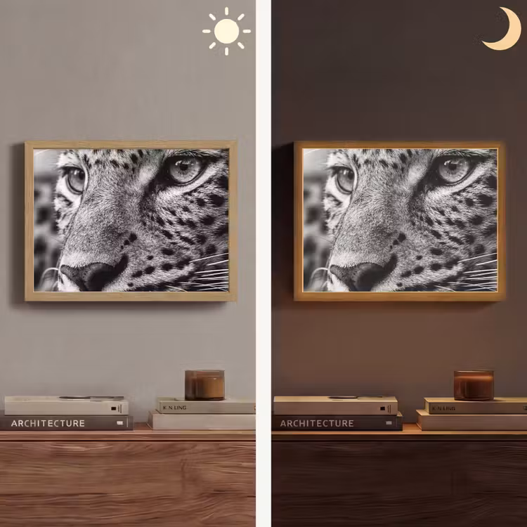 Lightbox - Wandlamp - Luipaard - Zwart - Wit - Oog — 6