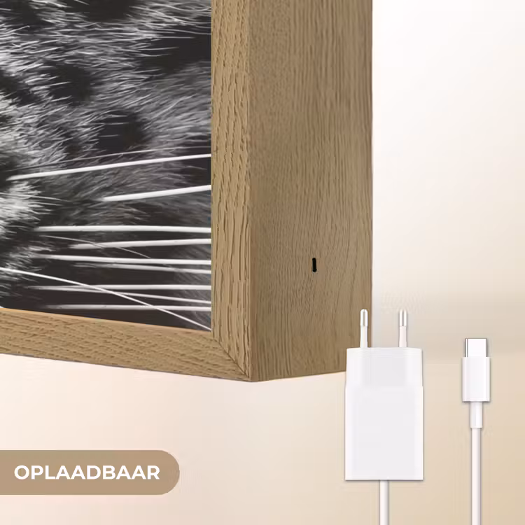 Lightbox - Wandlamp - Luipaard - Zwart - Wit - Oog — 7