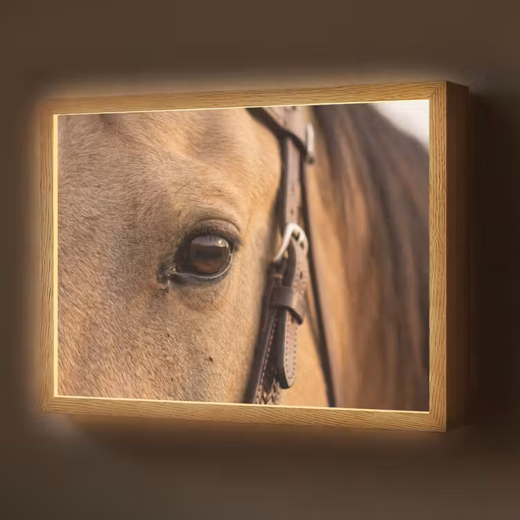 Lightbox - Wandlamp - Paard - Oog - Bruin — 1