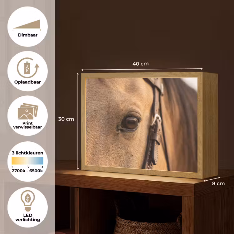 Lightbox - Wandlamp - Paard - Oog - Bruin — 10