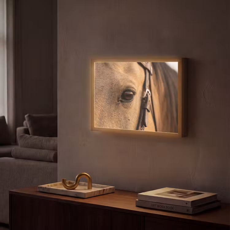 Lightbox - Wandlamp - Paard - Oog - Bruin — 2