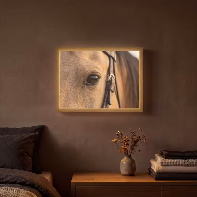 Lightbox - Wandlamp - Paard - Oog - Bruin — 3