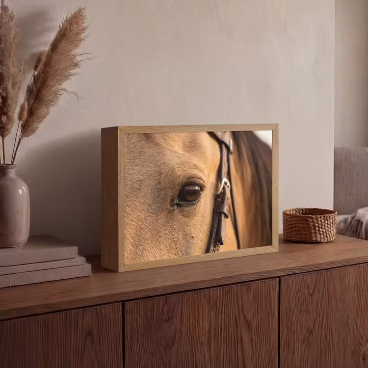 Lightbox - Wandlamp - Paard - Oog - Bruin — 4