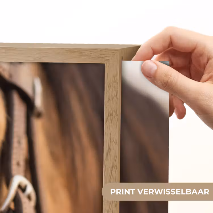Lightbox - Wandlamp - Paard - Oog - Bruin — 5