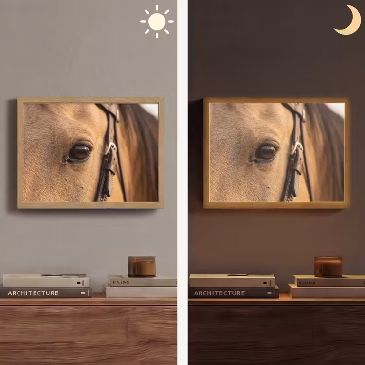 Lightbox - Wandlamp - Paard - Oog - Bruin — 6