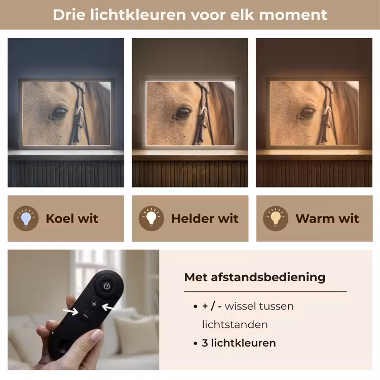 Lightbox - Wandlamp - Paard - Oog - Bruin — 8